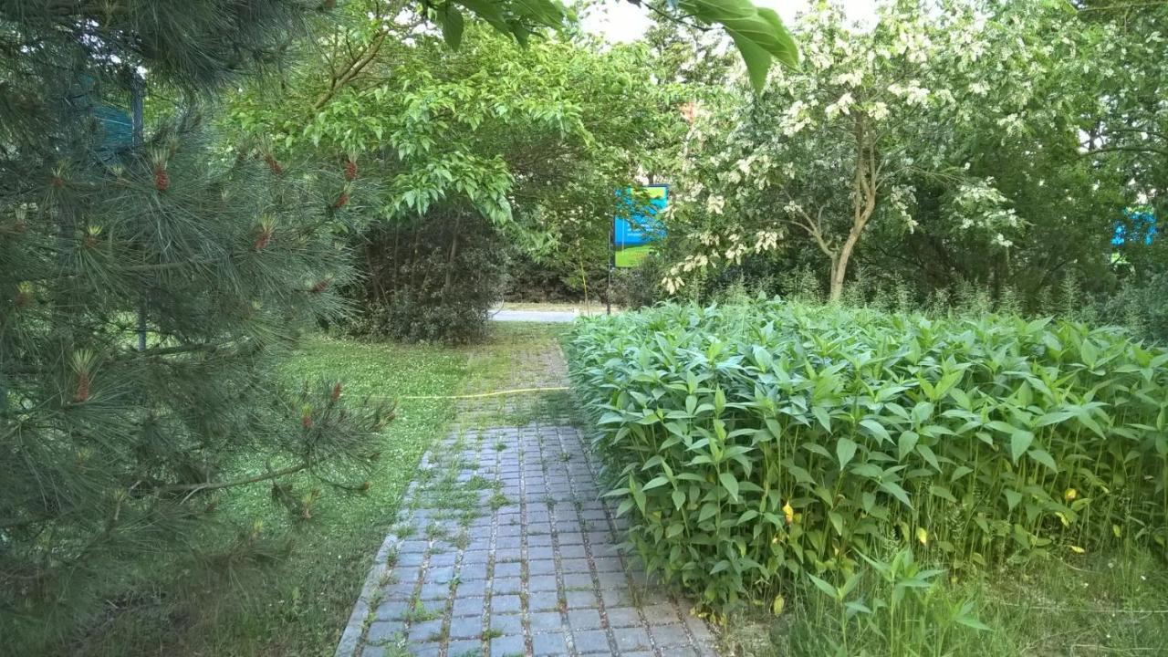 Rose Canine B&B 切塞纳蒂科 外观 照片