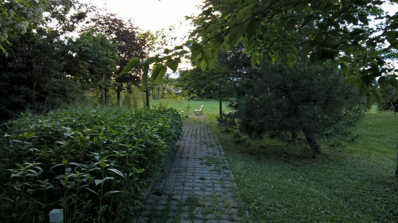 Rose Canine B&B 切塞纳蒂科 外观 照片